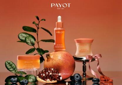 PAYOTƷ𣿿ʽйг