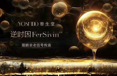  YOSEIDO ͷſ˥ƼICIC 2025 Ч·ʽ