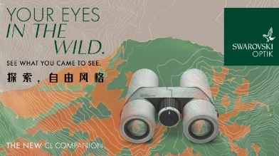 ̽�������ɷ�� ��һ��CL Companion�й��������� 