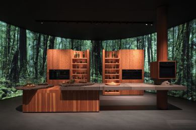 FISHER & PAYKEL �� 2026 �� EUROCUCINA չ���Ļ����Ȼ����ʽ��